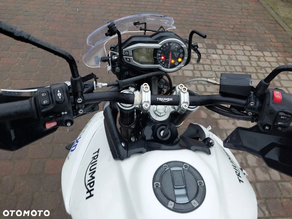 Triumph Tiger - 10