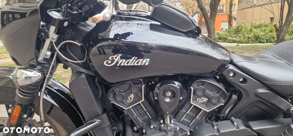 Indian Scout - 19