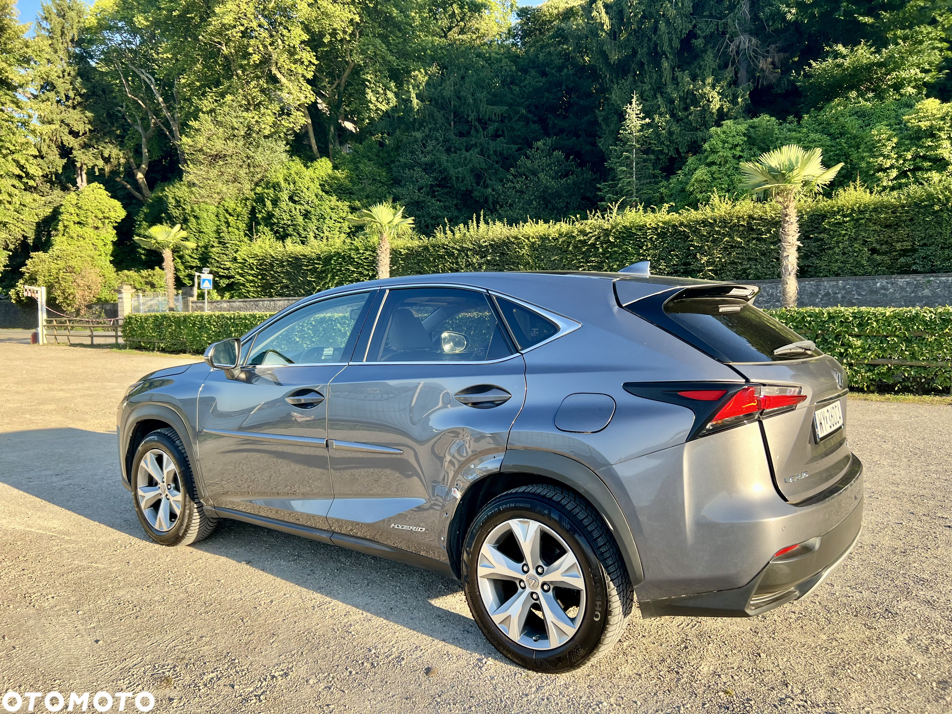Lexus NX 300h Prestige AWD - 9
