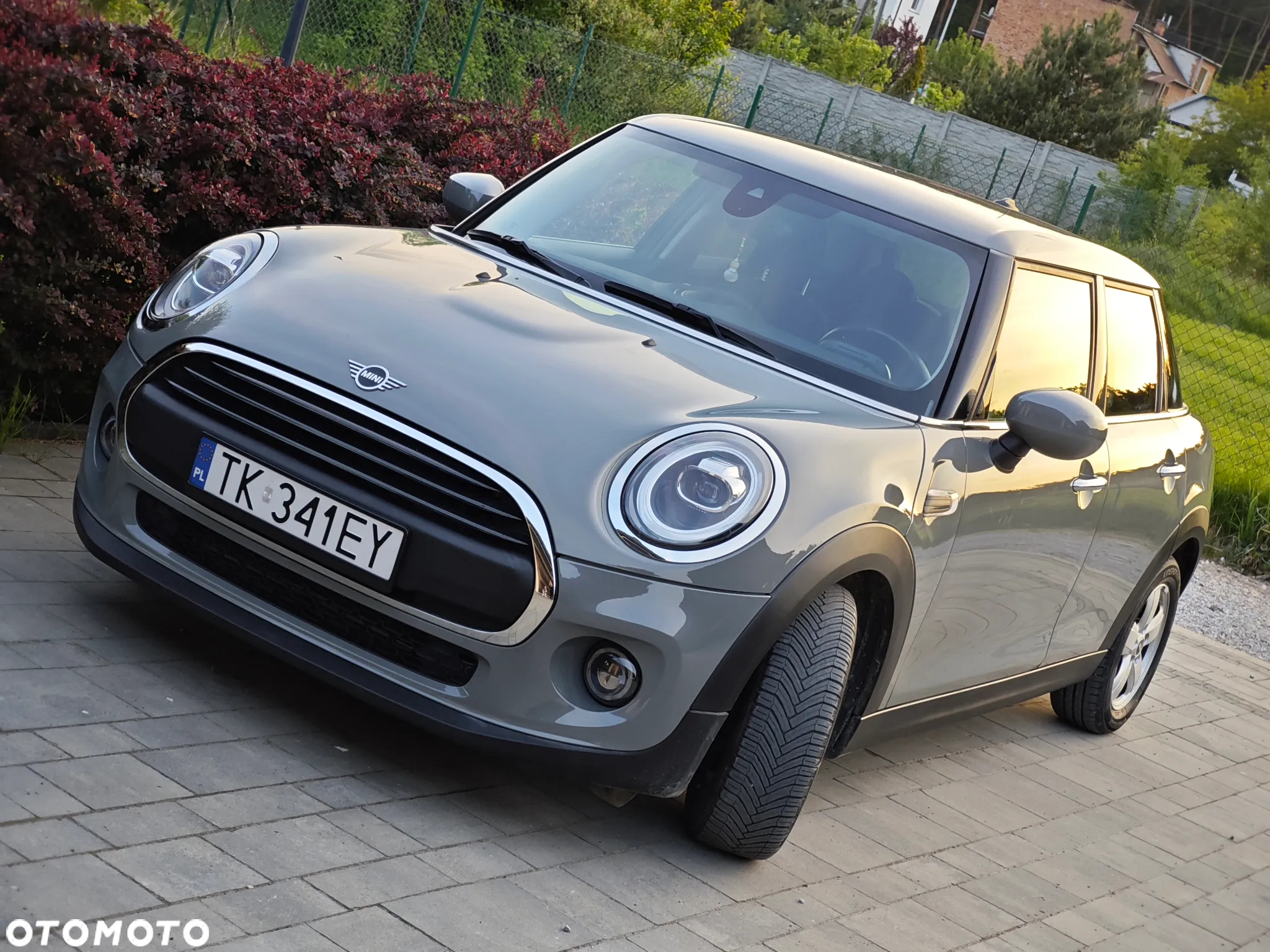 MINI ONE - 12