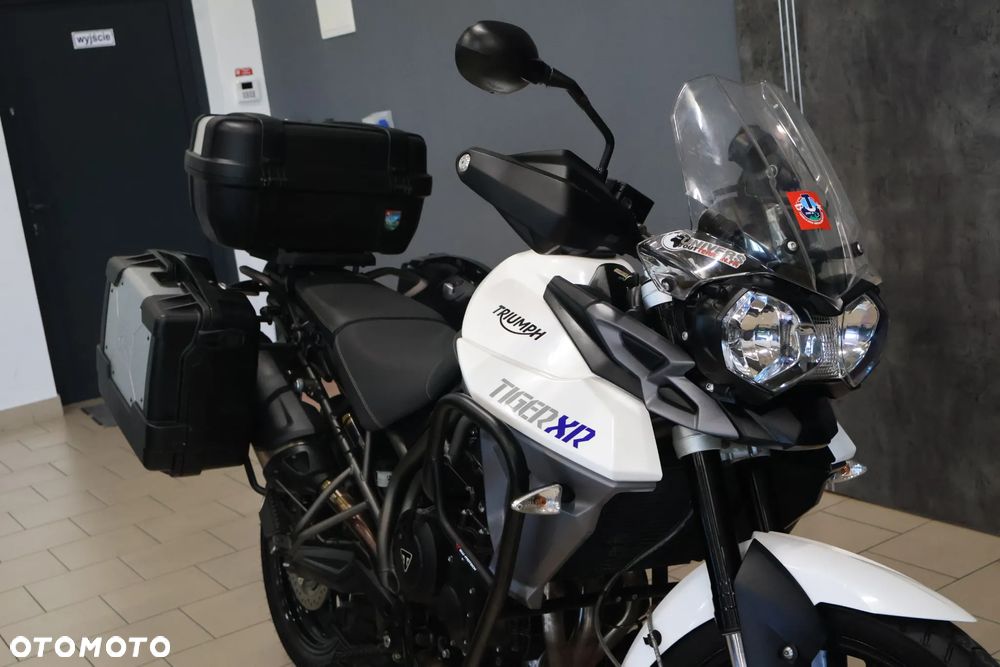 Triumph Tiger - 1