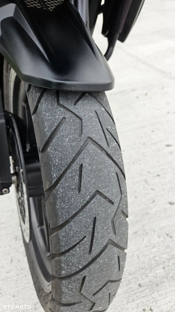 Triumph Tiger - 9