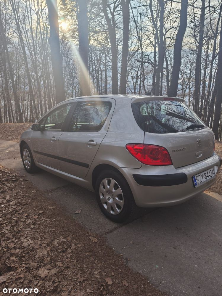 Peugeot 307 - 6