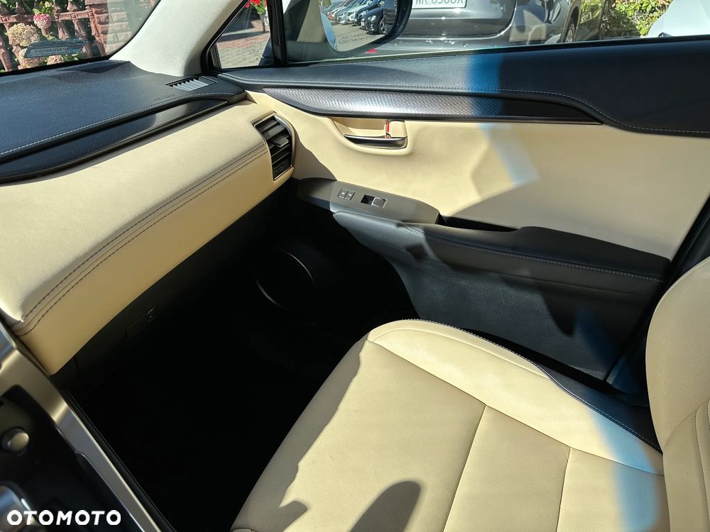 Lexus NX - 17