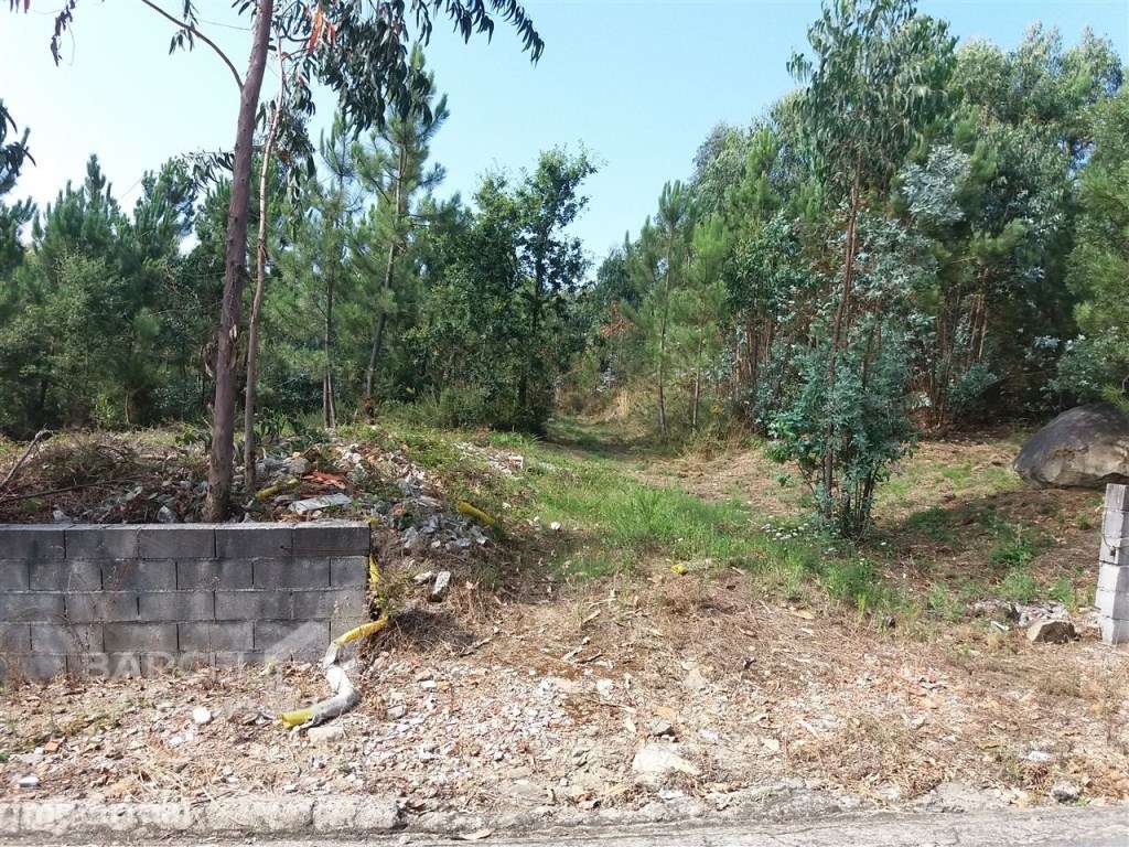 Terreno de construção em Milhazes - Barcelos - Grande imagem: 3/10