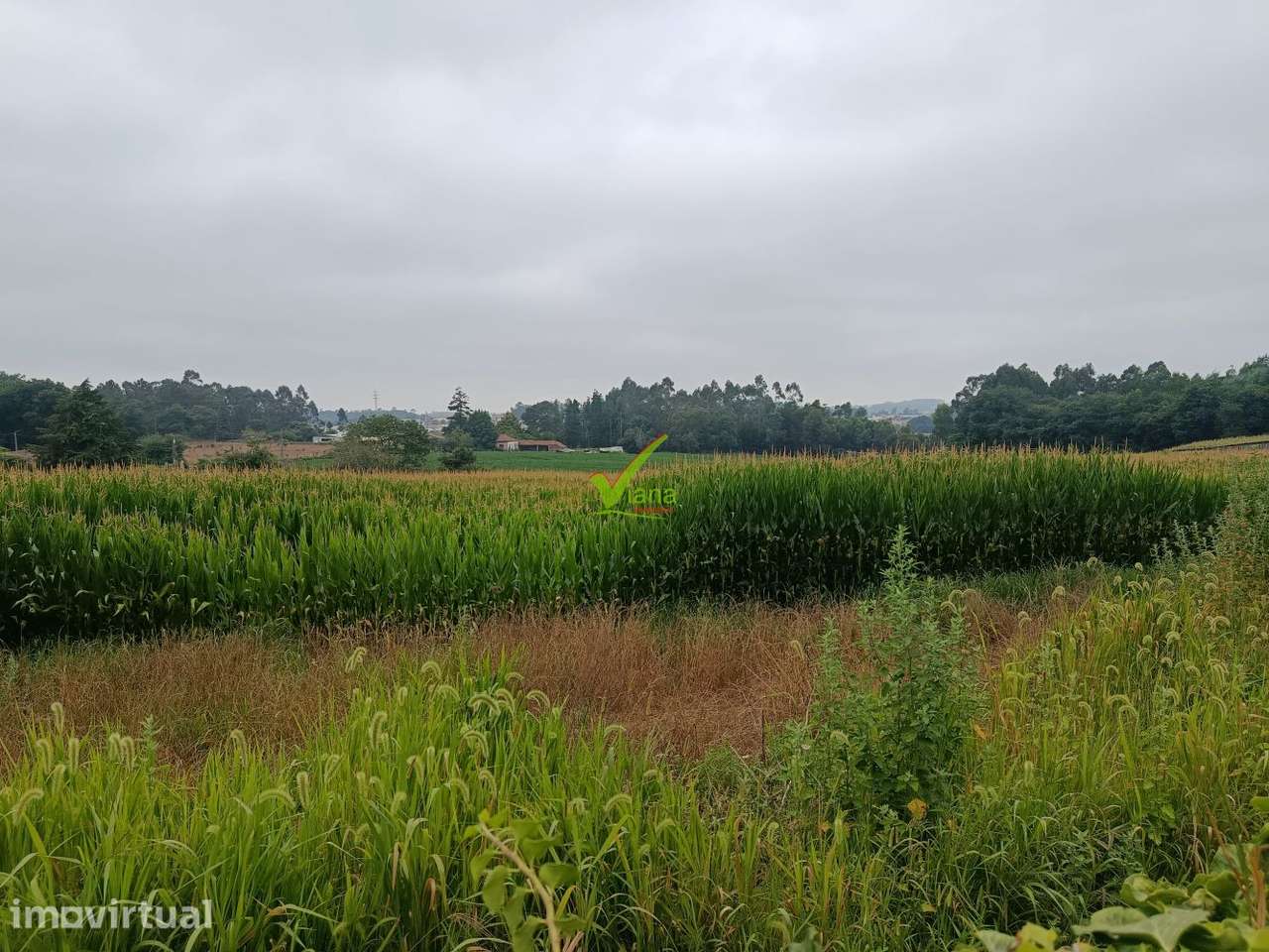 Terreno Junqueira, Vila do Conde - Grande imagem: 5/6