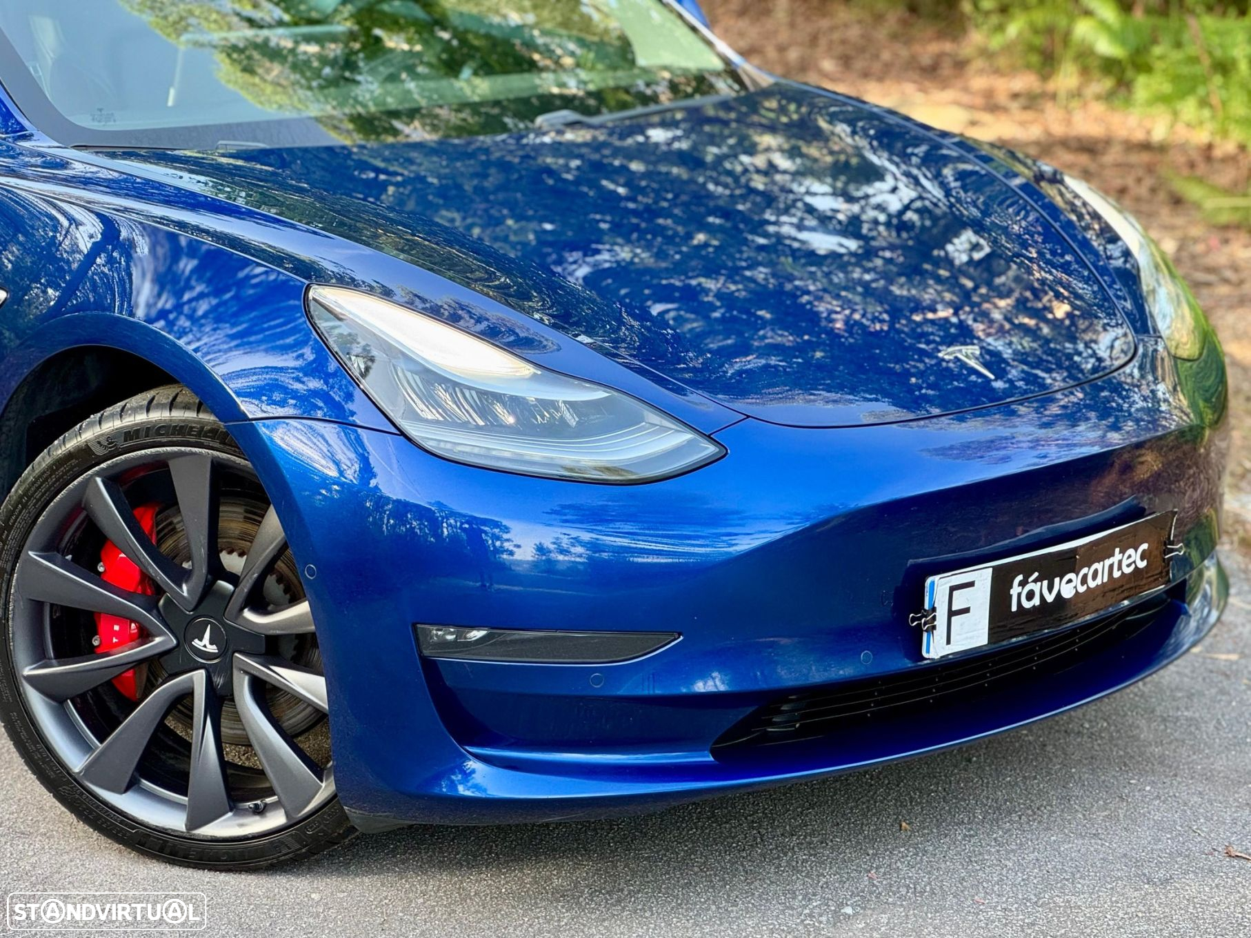 Tesla Model 3 Performance Dual Motor AWD - 13