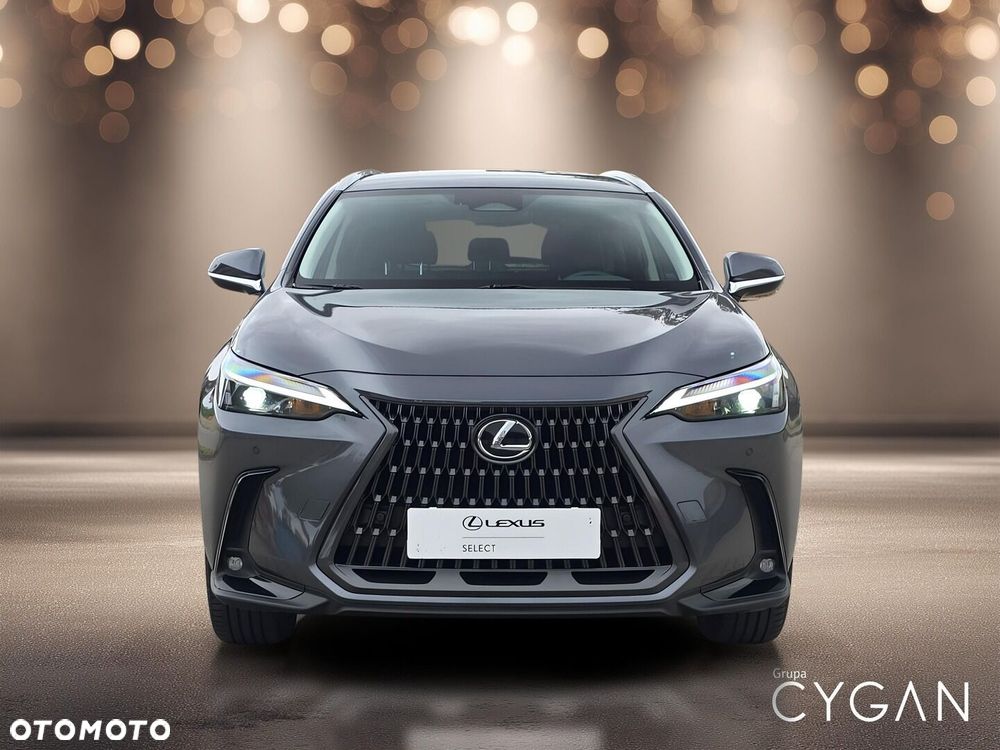 Lexus NX - 10