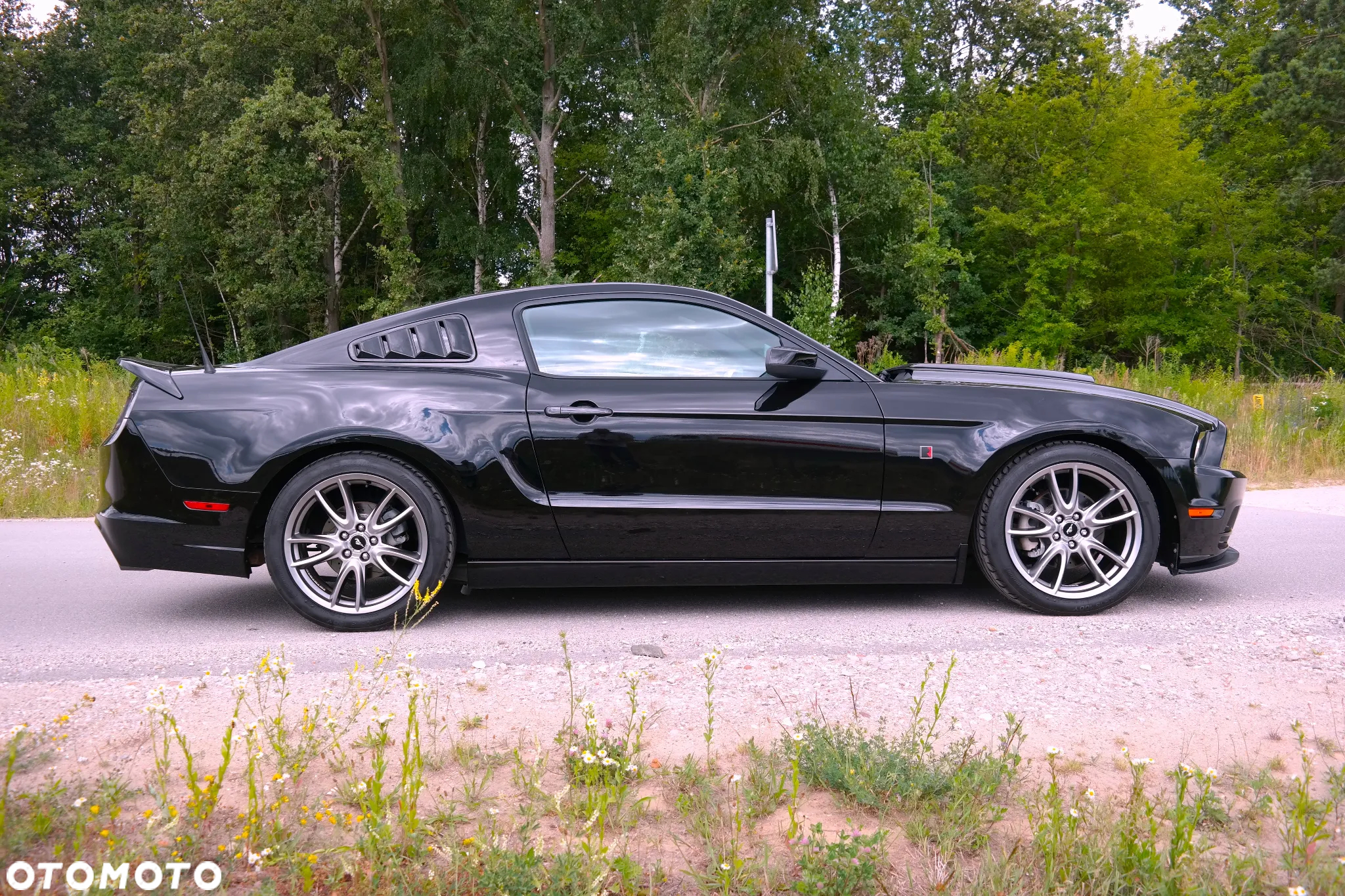 Ford Mustang 3.7 V6 - 22
