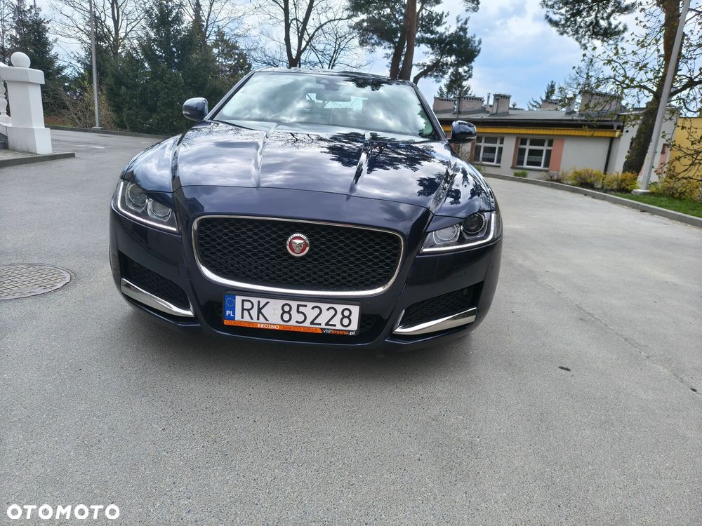 Jaguar XF 25d AWD Portfolio - 10
