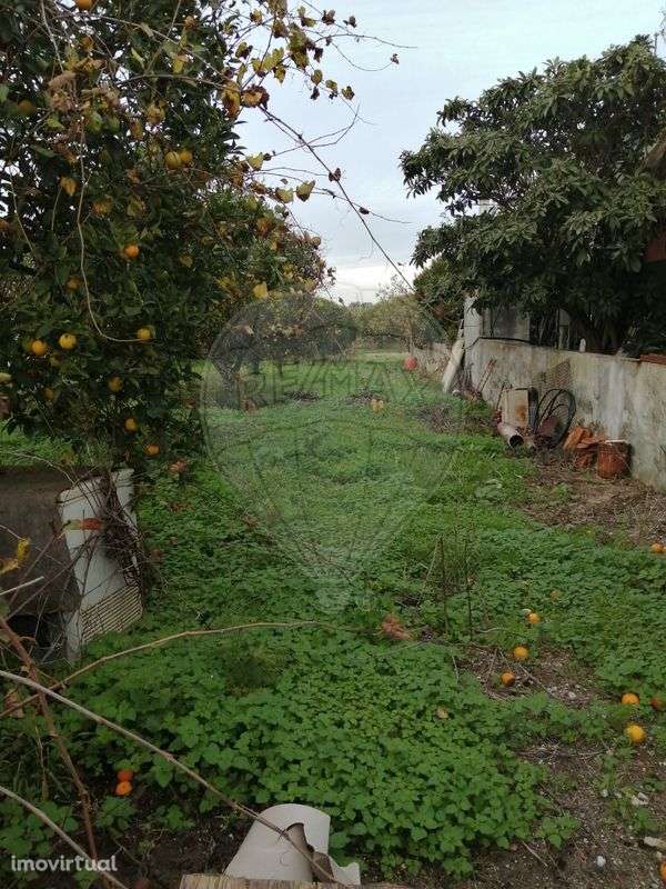 Terreno  para venda - Grande imagem: 3/6