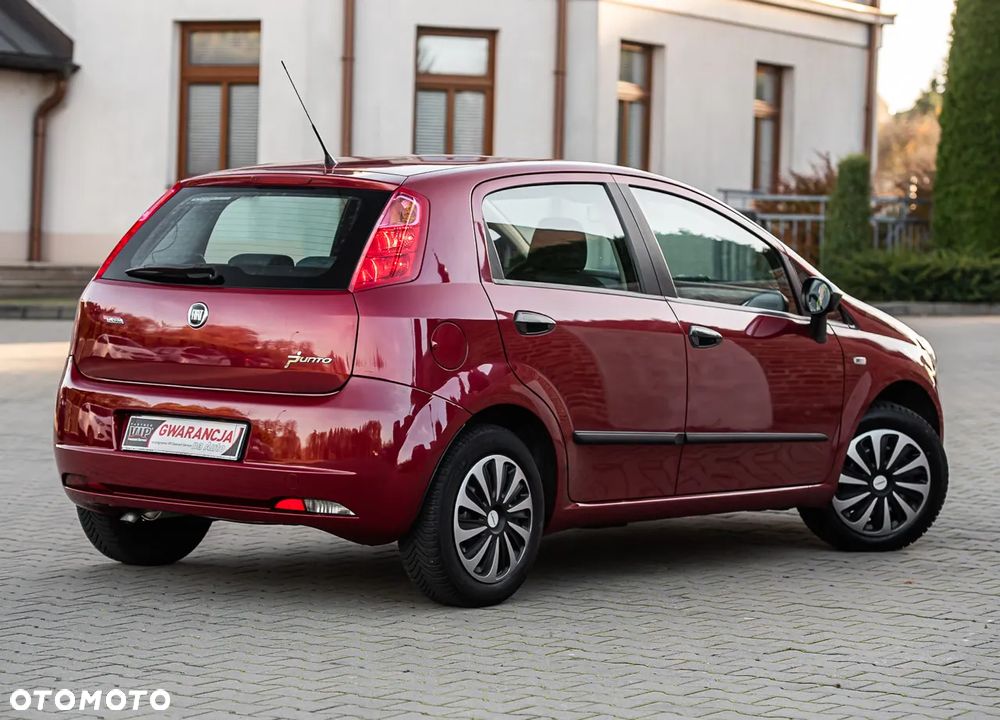 Fiat Punto - 13