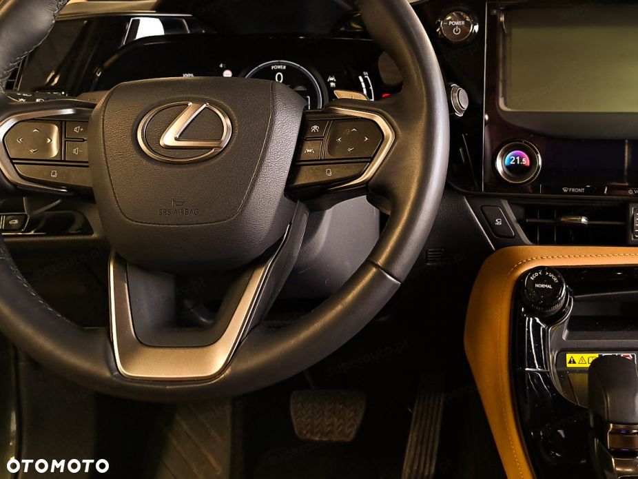Lexus NX - 14