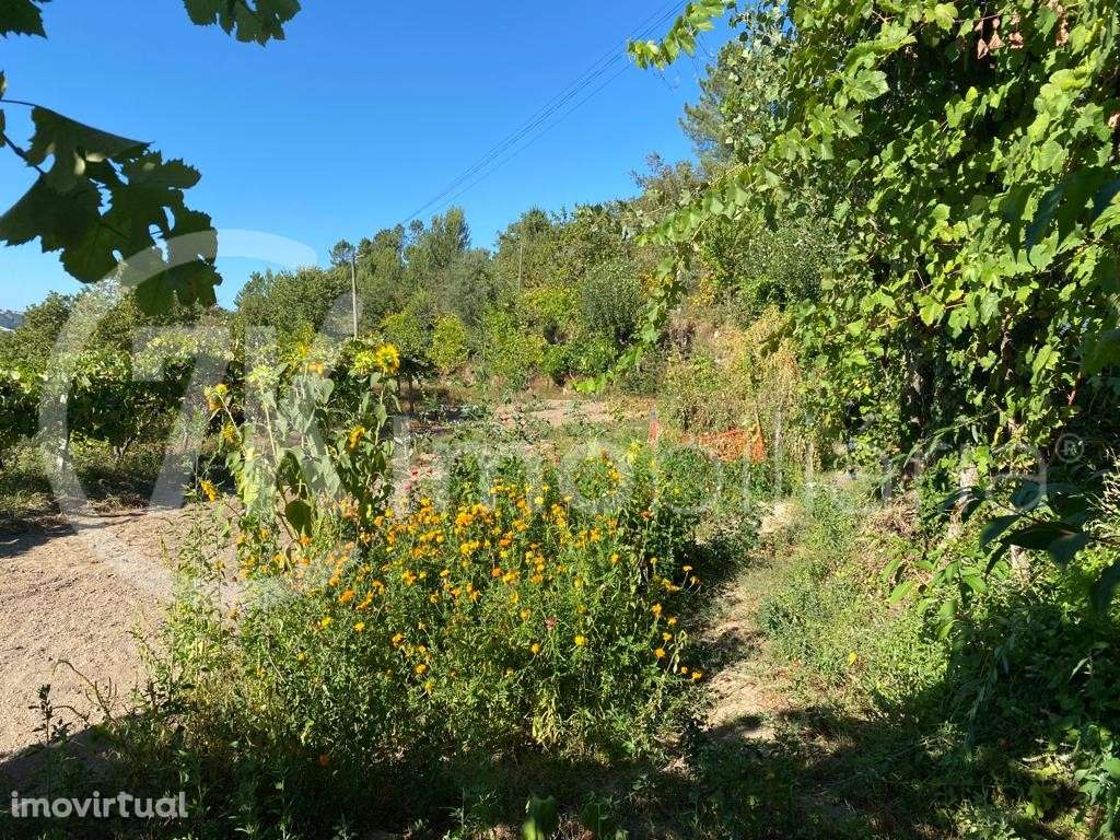 Terreno em Aliviada - Grande imagem: 5/6