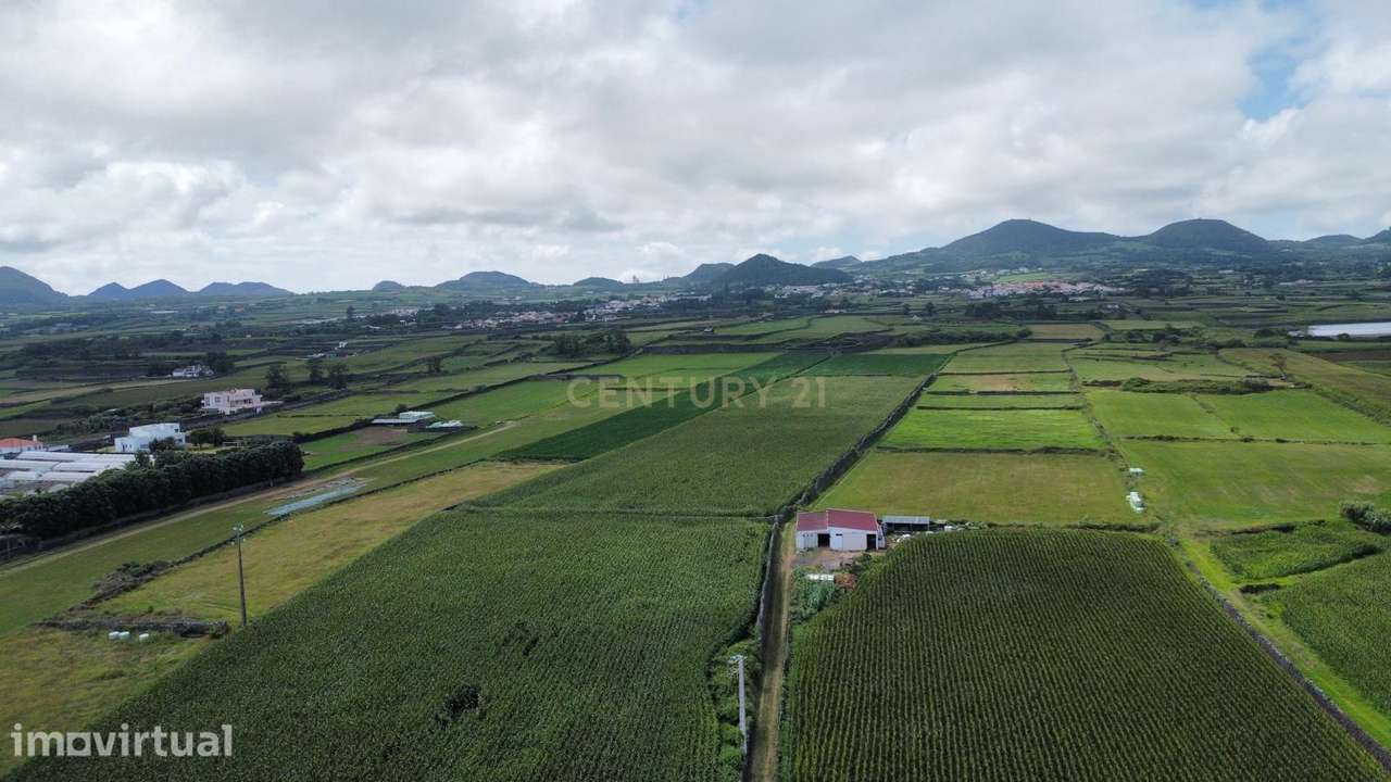 Terreno Agrícola Plano com 6.240 m² | Excelente Exposição Solar | Calh - Grande imagem: 5/5