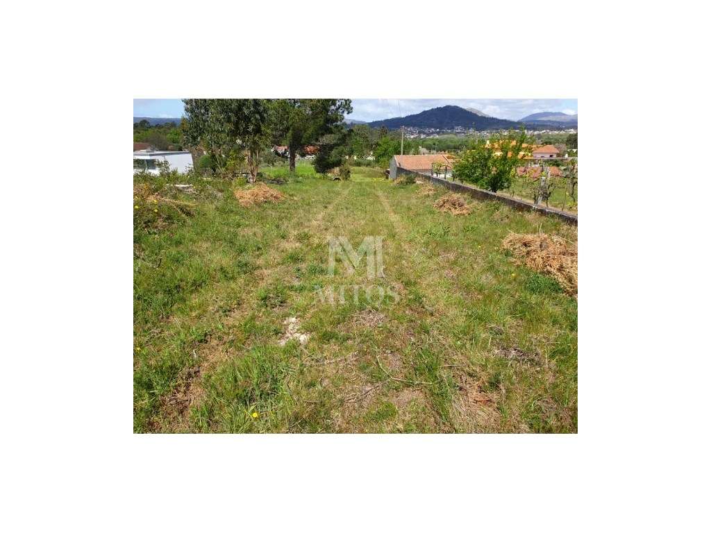 Terreno para construção - Vila Franca - Grande imagem: 3/8