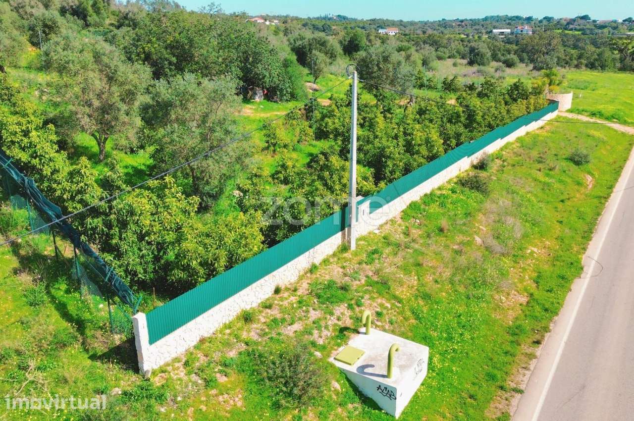 Terreno rústico vedado, com eletricidade e agua em Silves - Grande imagem: 3/31