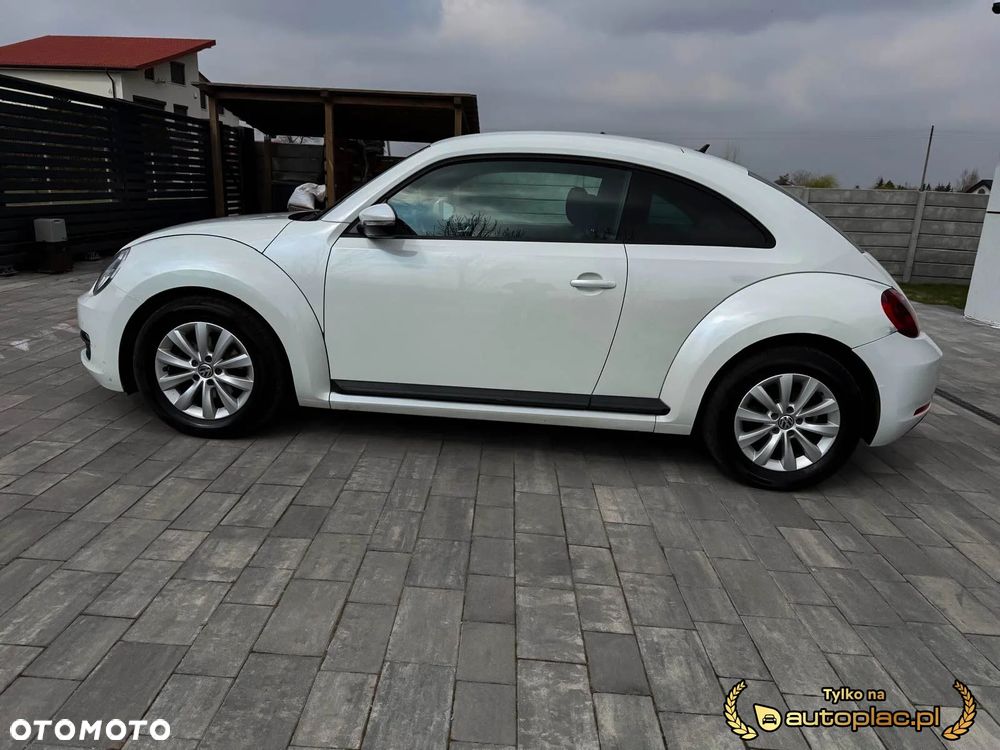 Volkswagen Beetle - 26