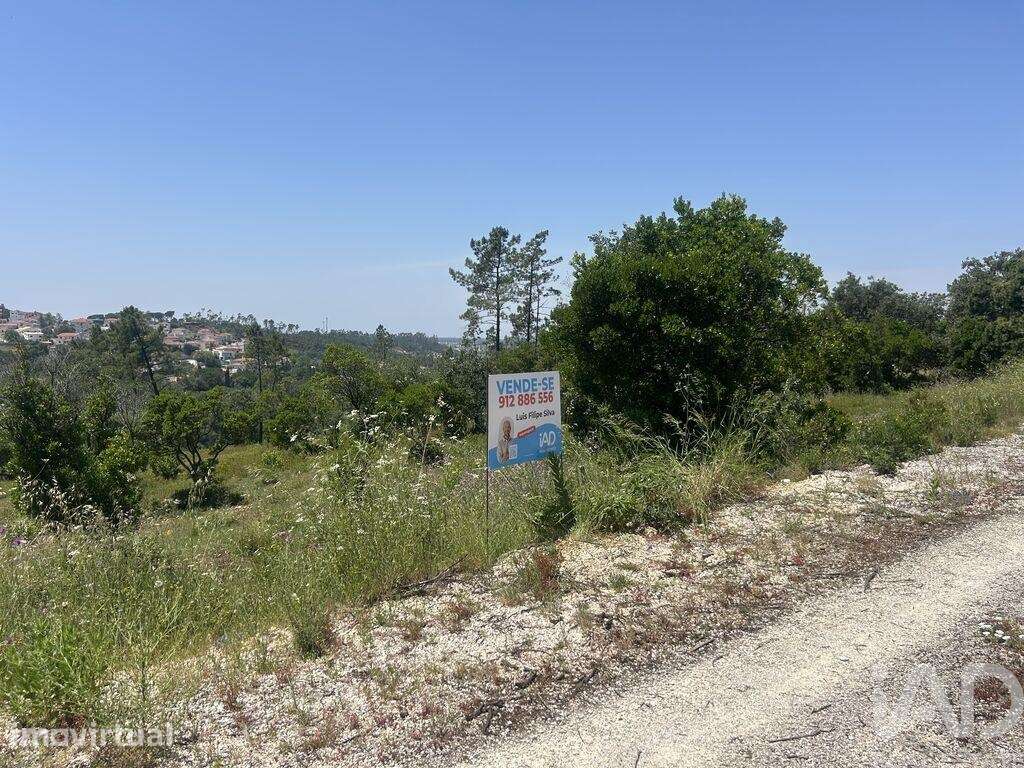 Terreno Agrícola em Pombal - Grande imagem: 5/12