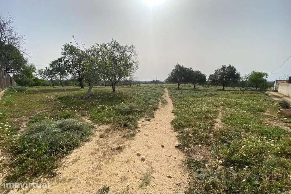 Terreno Rústico em Quelfes, Algarve - Grande imagem: 3/11