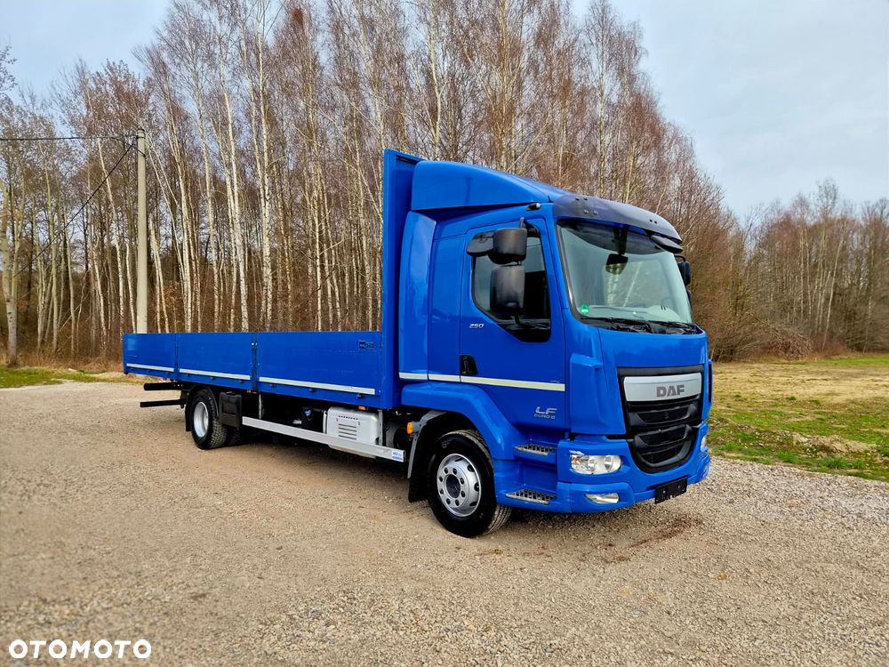 DAF LF 250 Euro6 4x2 DMC:16t Skrzynia Platforma Pomoc Drogowa
