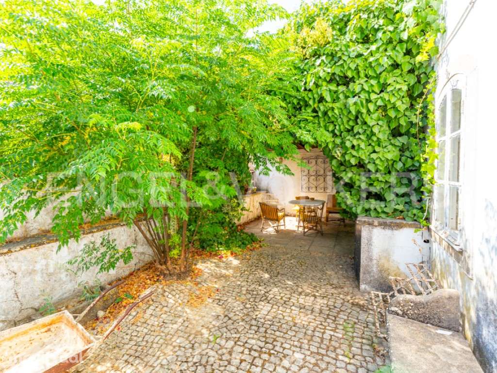 Propriedade tradicional com olival em São Brás de Alportel - Grande imagem: 4/23