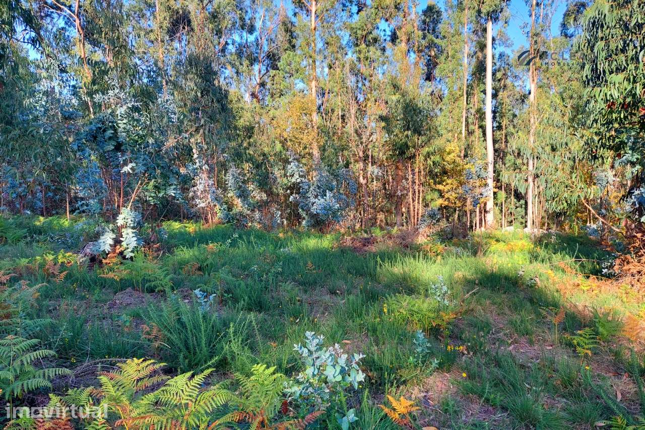Terreno Urbano  Venda em Paredes,Paredes - Grande imagem: 4/13
