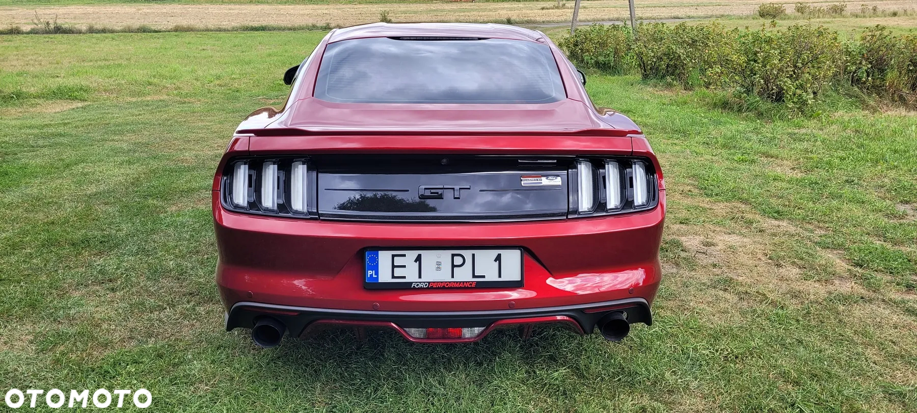 Ford Mustang 5.0 V8 GT - 4