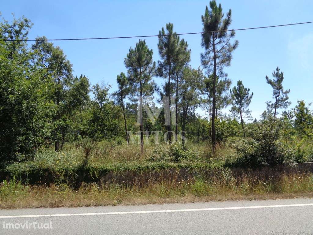 Terreno p/ construção - Deão - Grande imagem: 2/11