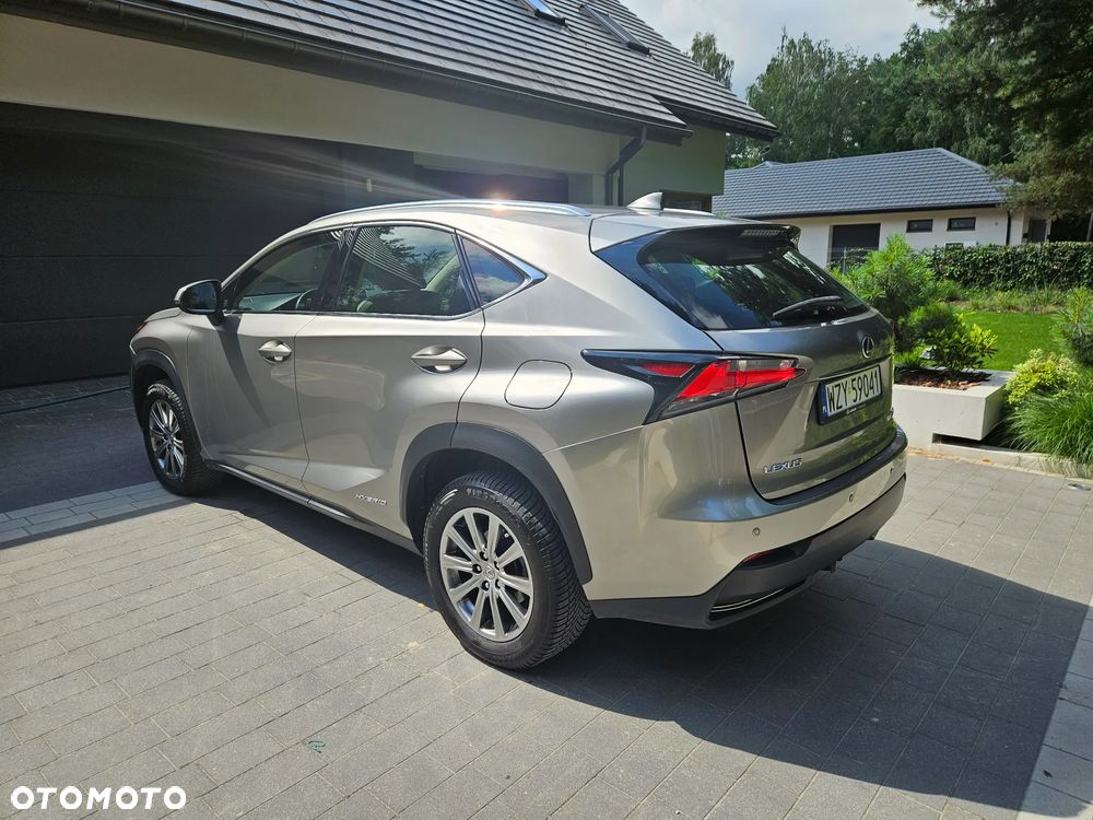 Lexus NX 300h Prestige AWD - 16