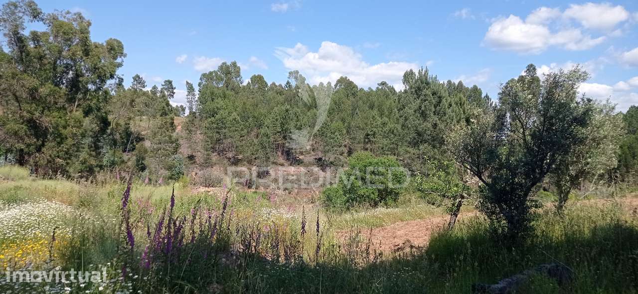 Ruína em aldeia perto de Mação - Grande imagem: 3/12
