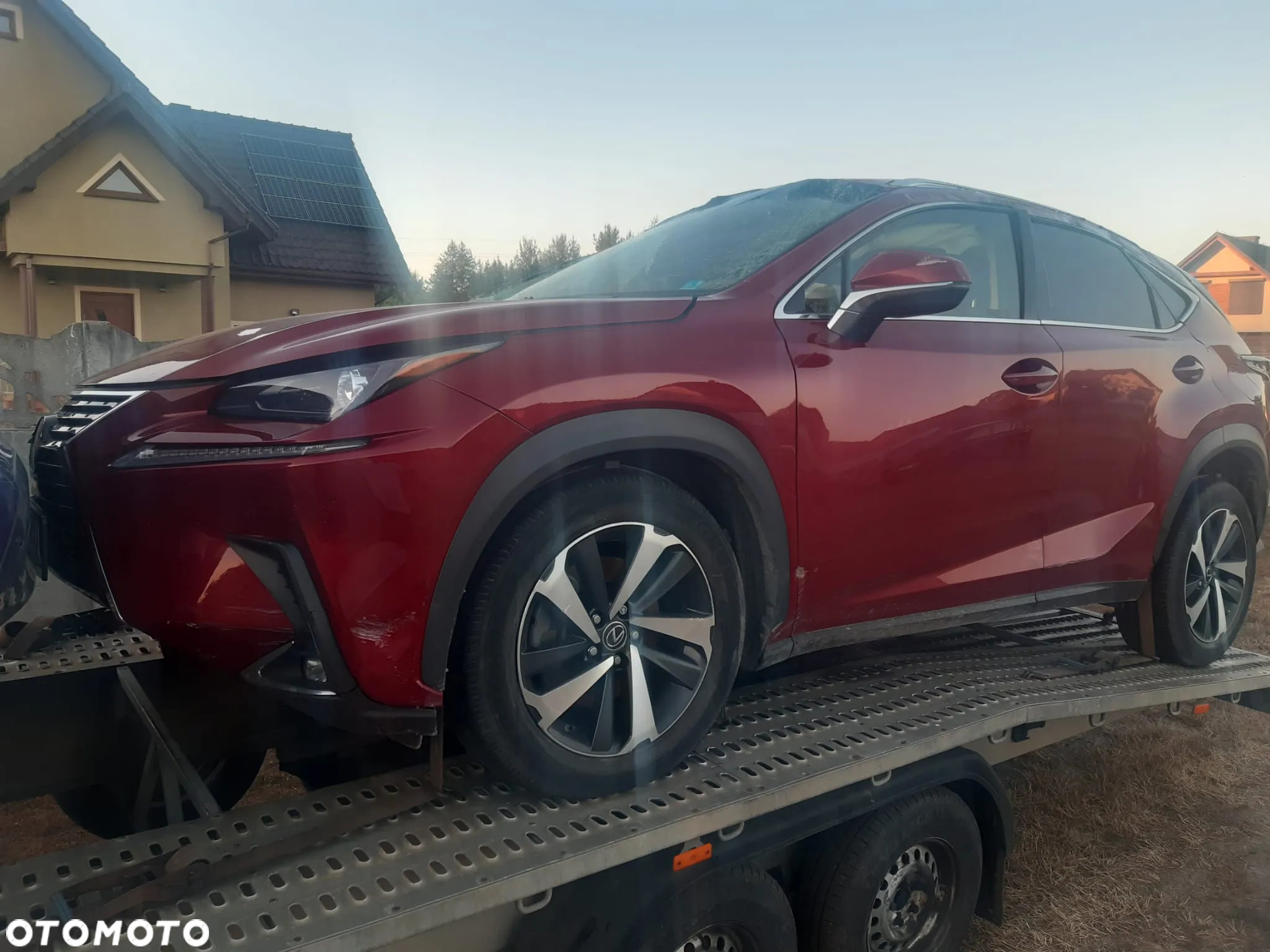 Lexus NX 300 GPF Prestige AWD - 2