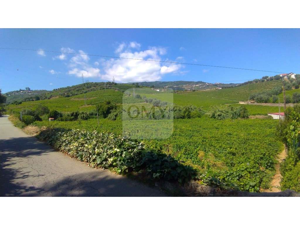 Lotes Para Construção de Moradia a 6 Km do Peso da Régua - Grande imagem: 2/3