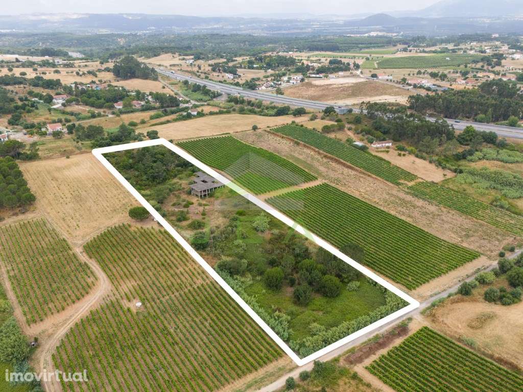 Terreno com 15.840m2 em Aveiras de Cima - Grande imagem: 2/19