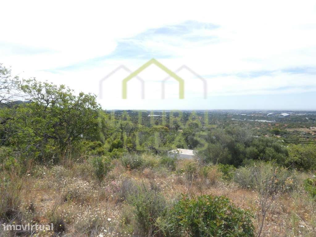 Terreno com Vista Mar Panorâmica em Santa Bárbara de Nexe - Grande imagem: 4/5