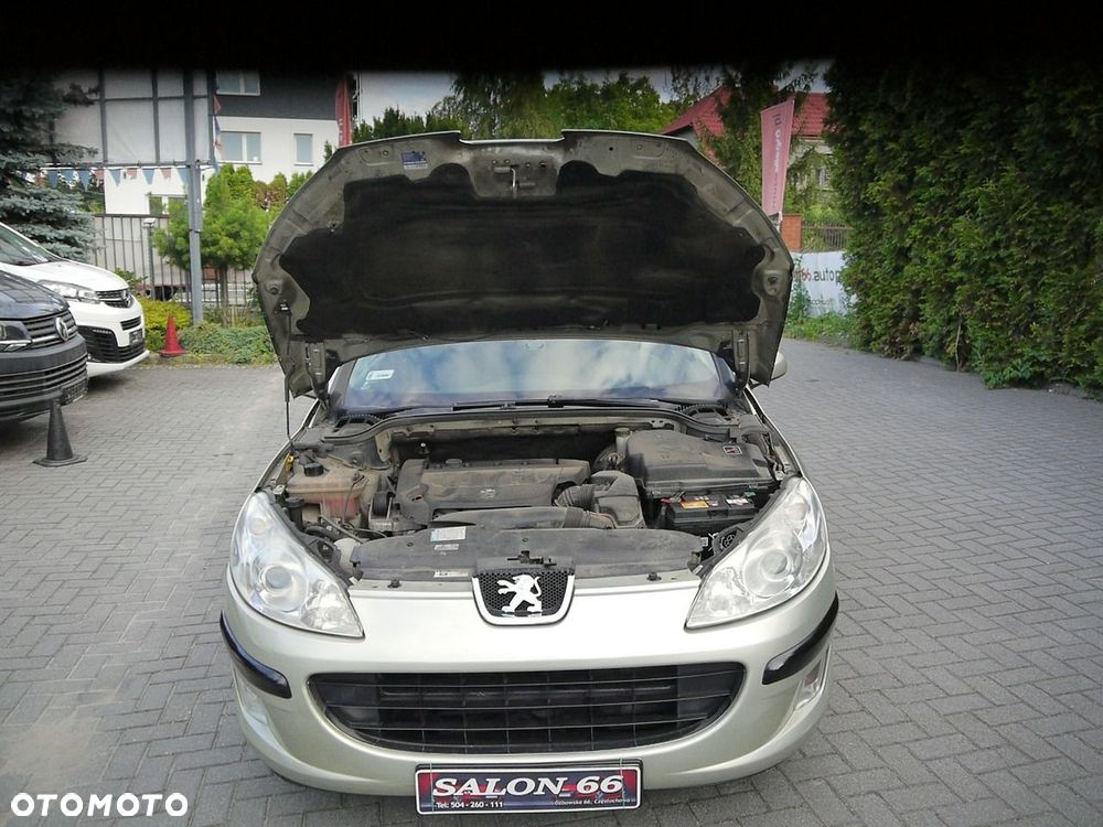 Peugeot 407 - 14