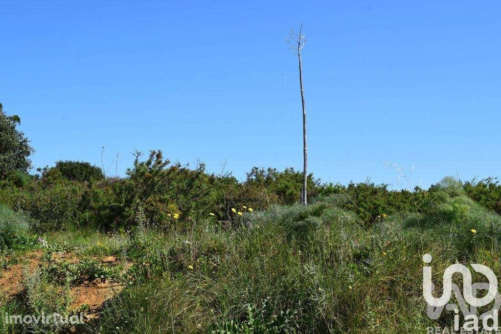 Terreno Agrícola em Carnota - Grande imagem: 2/36