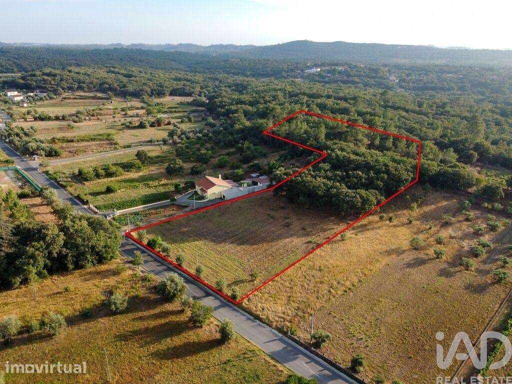 Terreno em Areias e Pias de 7560,00 m2 - Grande imagem: 4/27