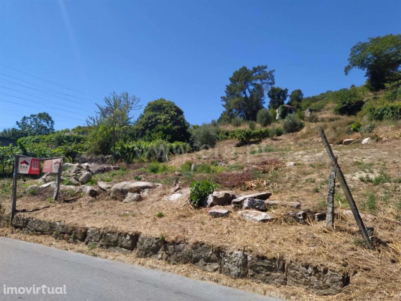 Quintinha / Baião, Loivos da Ribeira e Tresouras - Grande imagem: 2/8