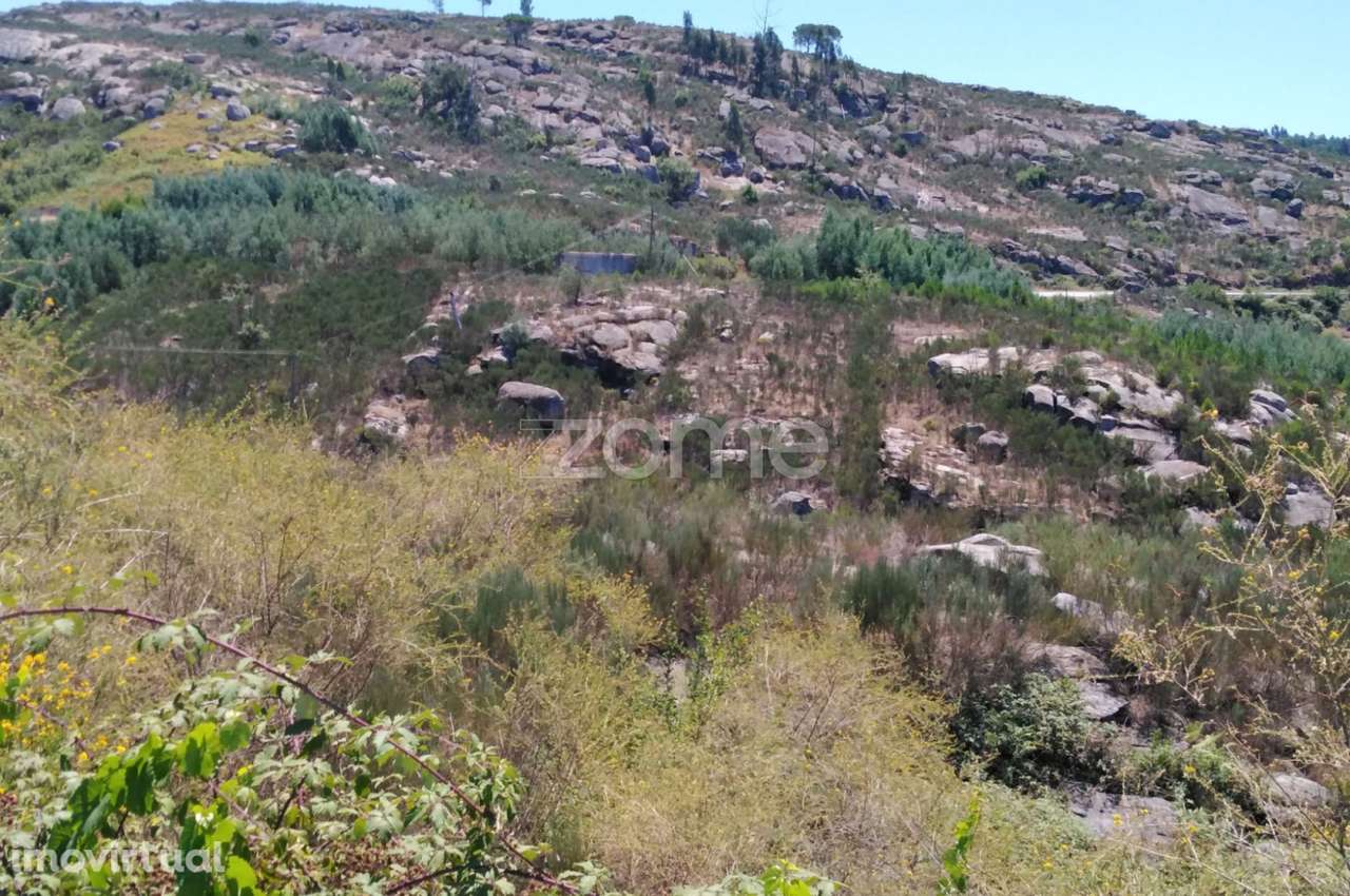 Terreno 2200m2 em Lagares da Beira - Coimbra - Grande imagem: 4/15