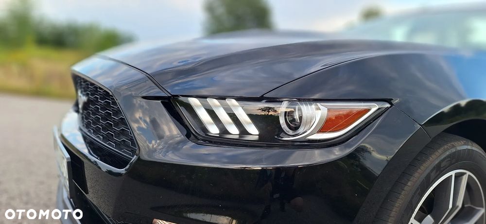 Ford Mustang Cabrio 2.3 Eco Boost - 13