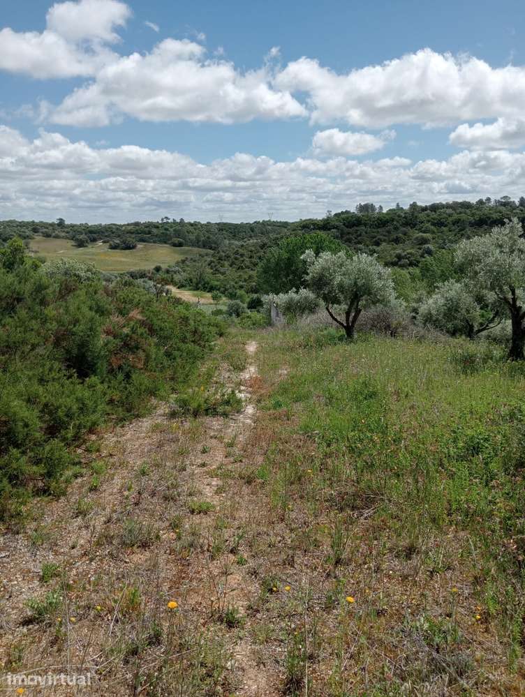 Terreno Urbano de 4,872 hectares em Santarém - Grande imagem: 4/12