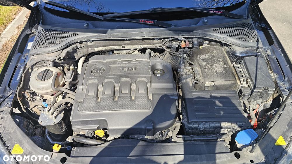 Skoda Octavia 1.6 TDI DPF Elegance - 20
