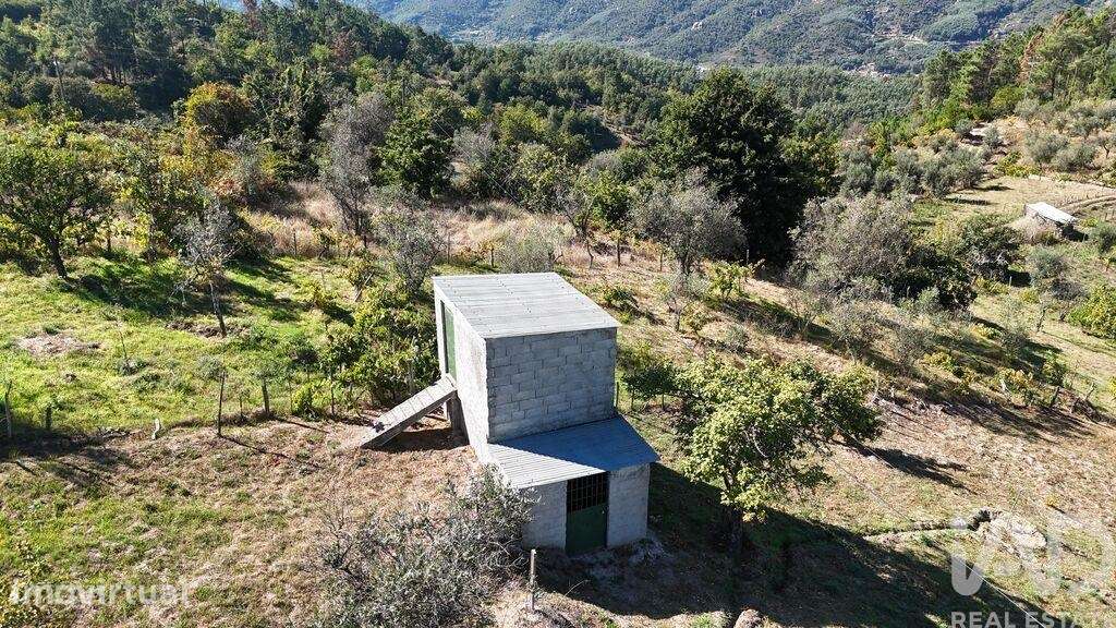 Terreno Agrícola em Sandomil - Grande imagem: 2/10