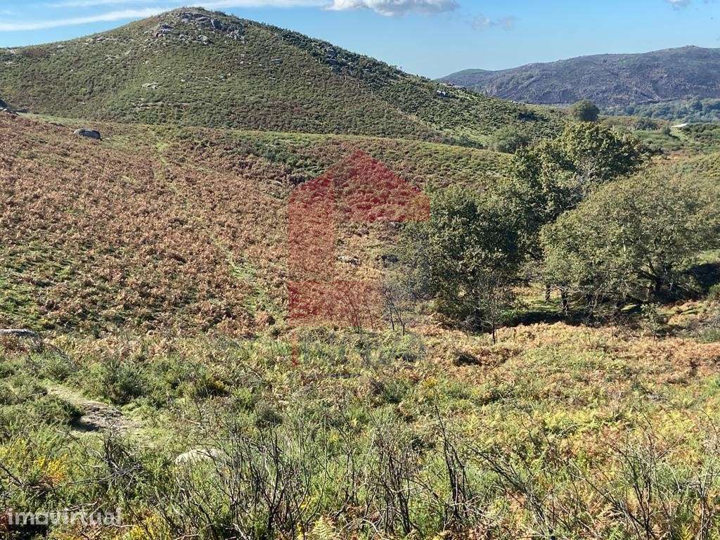 Terreno Florestal, Valdreu - Grande imagem: 2/7