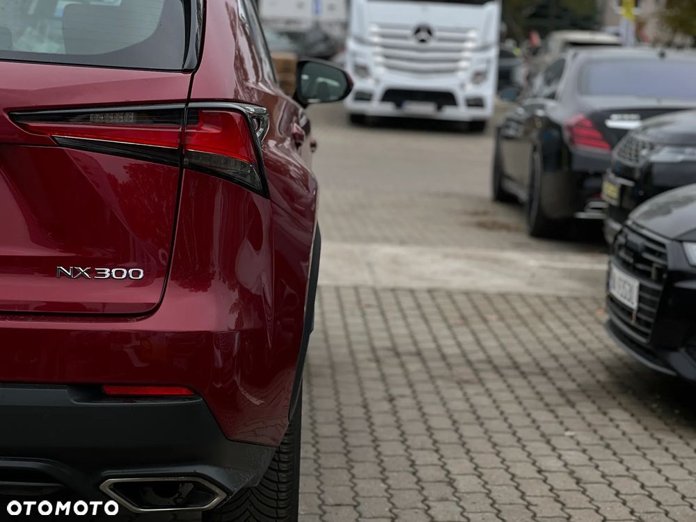 Lexus NX - 13