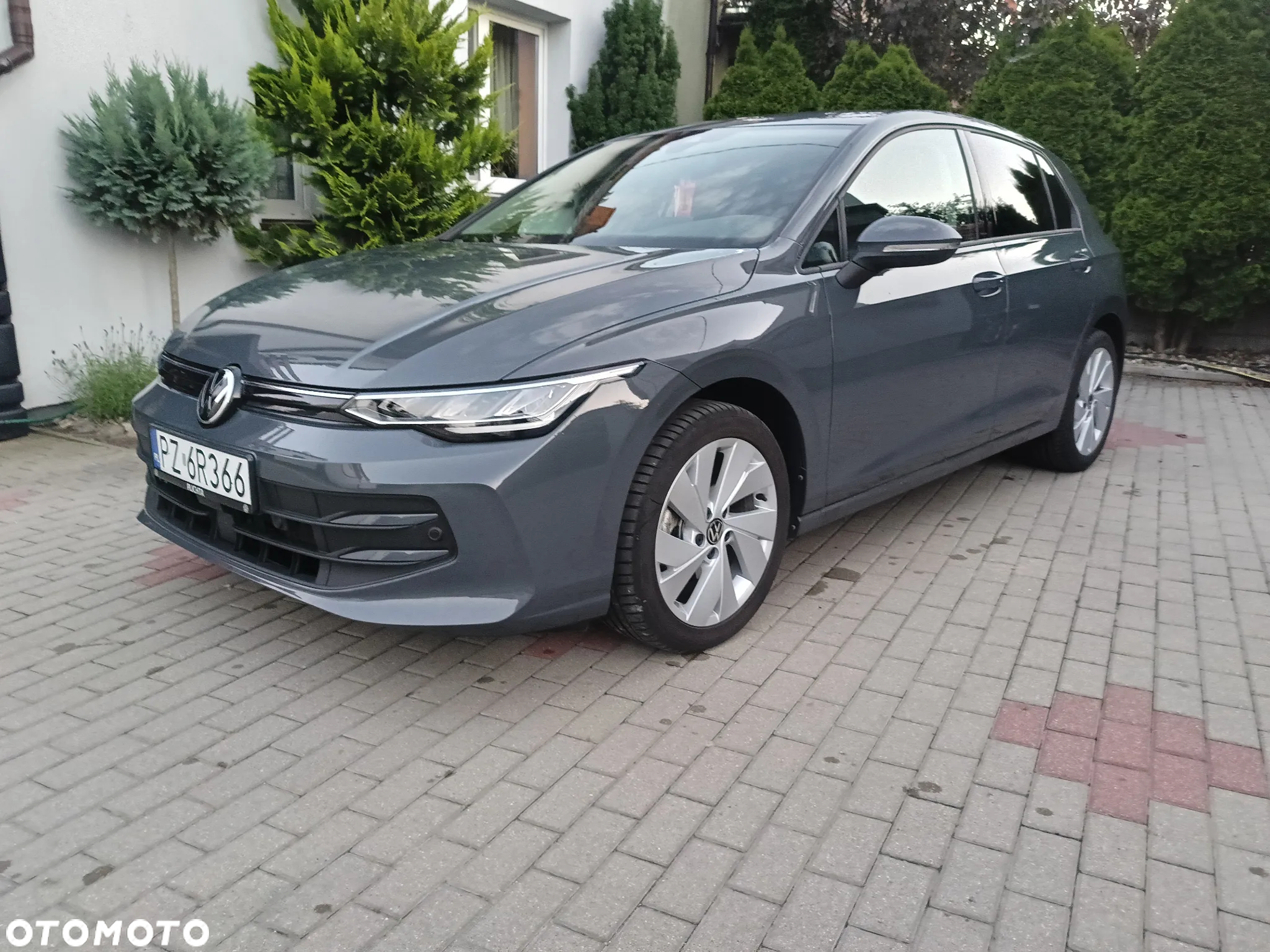 Volkswagen Golf - 10