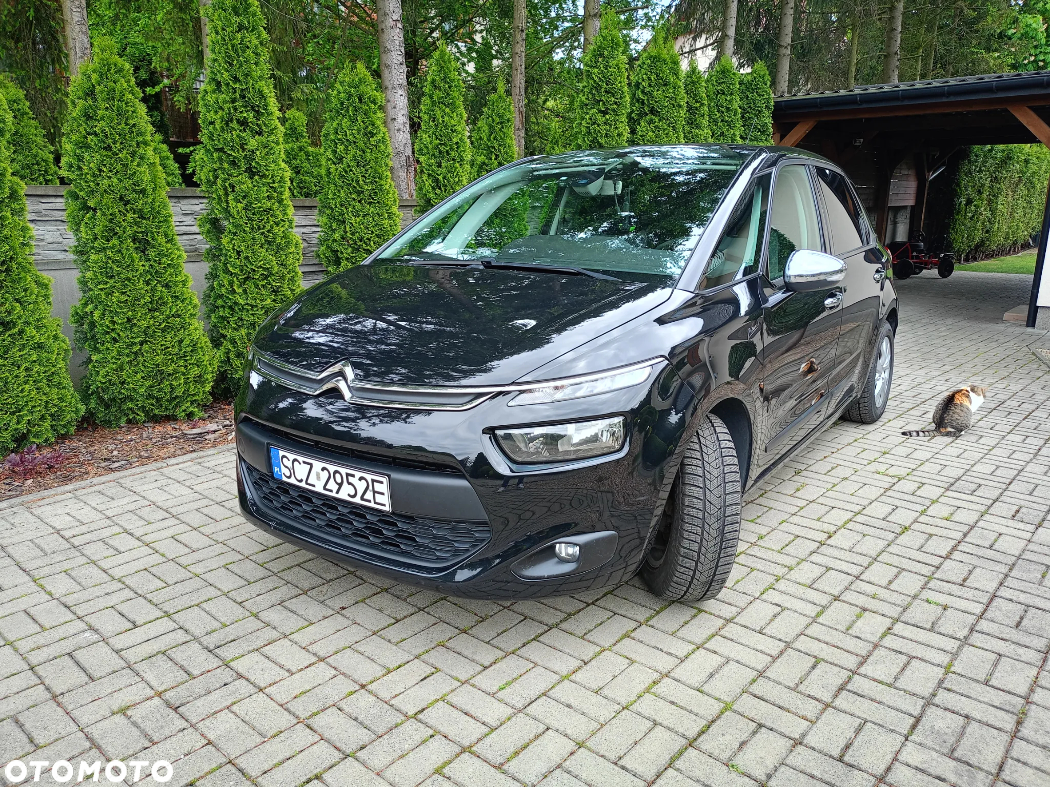 Citroën C4 Picasso e-HDi 115 Intensive - 2