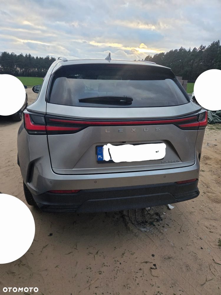 Lexus NX 350h Prestige 2WD - 16