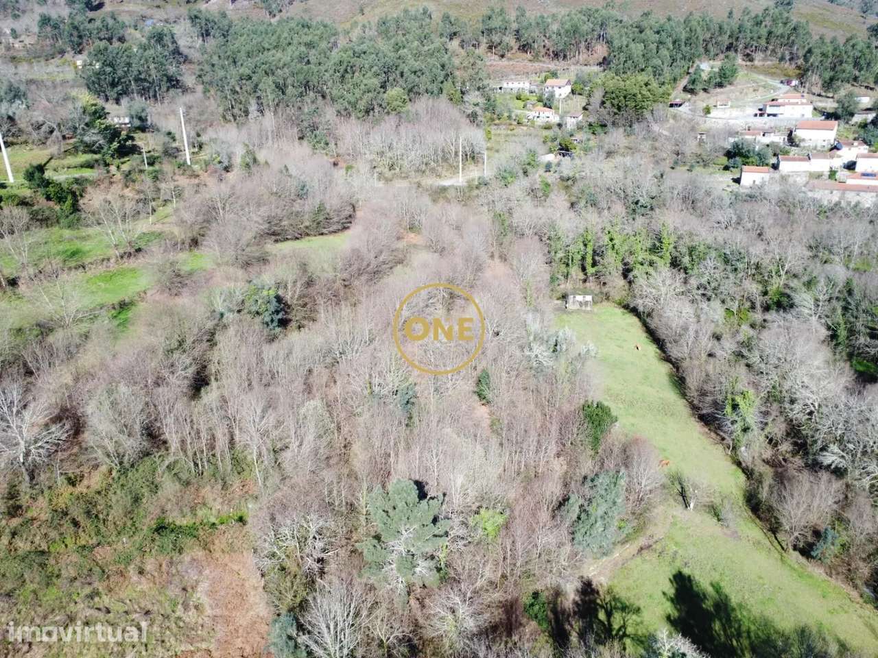 Bouça florestal com 8000m² em Valdreu – Excelente oportunidade - Grande imagem: 2/23
